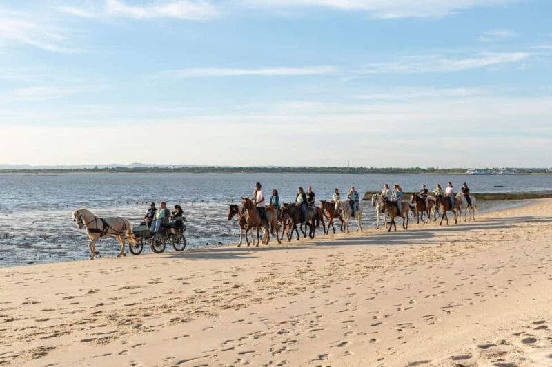 Lisbon Bachelor Beach Horseback Adventure - Key Points