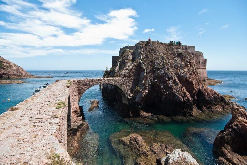 Lisbon: Berlenga Island Full Day Tour - Practical Details: Meeting Point and Transportation