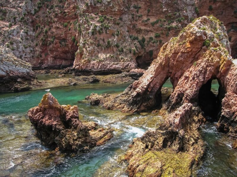 Lisbon: Berlenga Island Full Day Tour - Limitations and Considerations