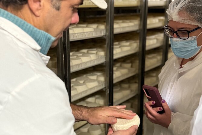 Lisbon Cheese Factory Visit, Wine Tasting and Tile Painting Tour - Seamless Logistics with Pickup and Private Transport