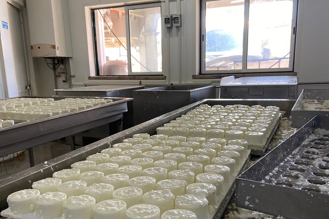 Lisbon Cheese Factory Visit, Wine Tasting and Tile Painting Tour - What’s Included and What’s Not