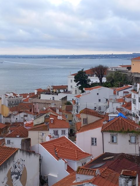 Lisbon: Chiado, Bairro Alto, and Principe Real Tuk Tuk Tour - Prime Views at Miradouro de São Pedro de Alcântara