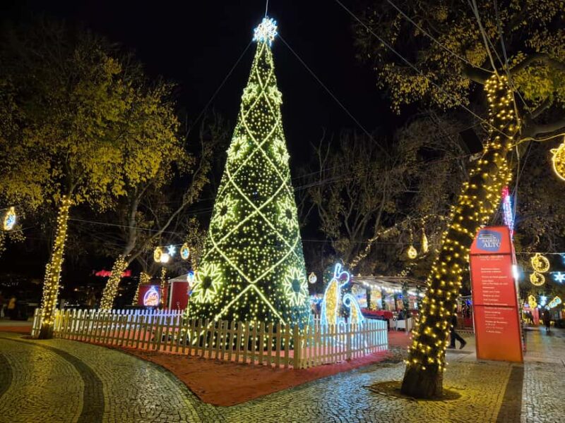 Lisbon: Christmas Lights Tuk-Tuk Tour with Local Guide - Comfort and Practical Tips for a Festive Ride