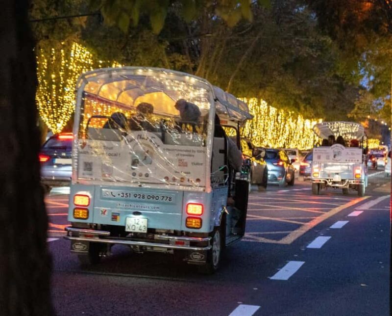 Lisbon: Christmas Lights Tuk-Tuk Tour with Local Guide - Who Will Enjoy This Christmas Lights Tour?