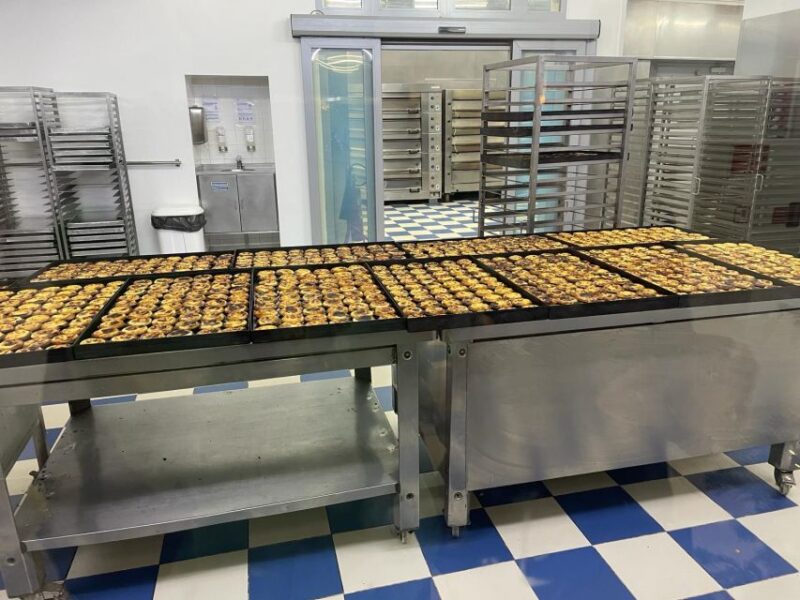 Lisbon: City Tour Alfama, New Town and Belém - From the Old Town Alfama to the Modern Chiado Neighborhood