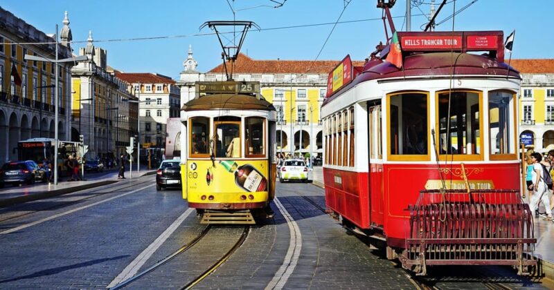 Lisbon: Customizable & Private Évora Day Trip with a Local - Who Will Enjoy This Tour Most?