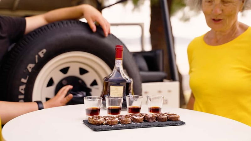 LISBON DAILY TOUR in a Vintage Jeep with FOOD&DRINK Tastings - Key Points