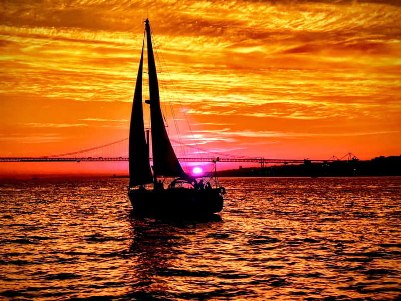 Lisbon: Daytime or Sunset Boat Cruise with History and Wine - The Experience on the Modern, Comfortable Boat