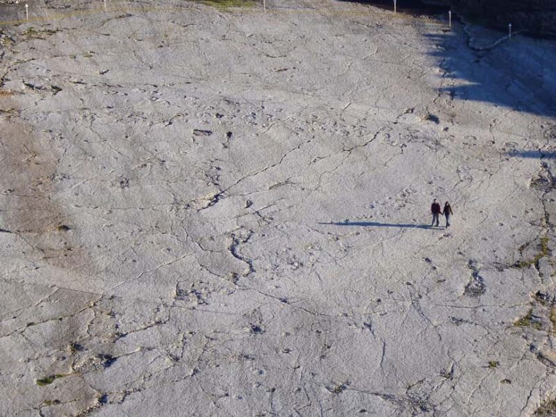 Lisbon: Dinosaur Footprints, Caves, and Obidos Tour - The Tours Starting Point and Transportation Logistics