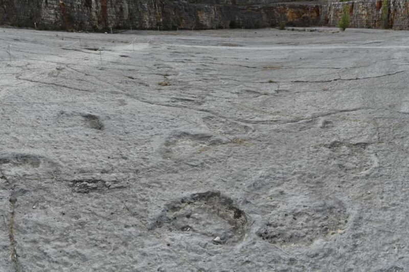 Lisbon: Dinosaur Footprints, Caves, and Obidos Tour - The Practicalities of the Tour: Accessibility and Comfort