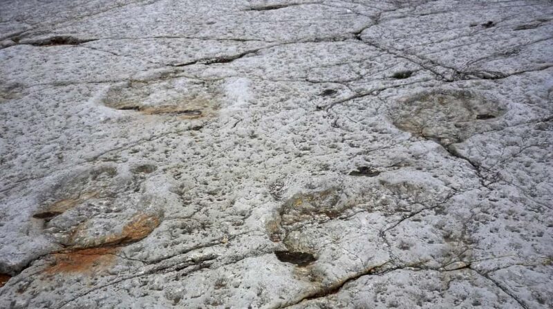 Lisbon: Dinosaur Footprints, Caves, and Obidos Tour - Pacing and Timing: How the Day Unfolds