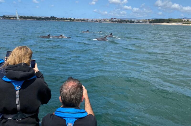 Lisbon: Dolphin Watching Boat Tour with Welcome Coffee - Close Encounters with Wild Dolphins in Portugal’s Waters