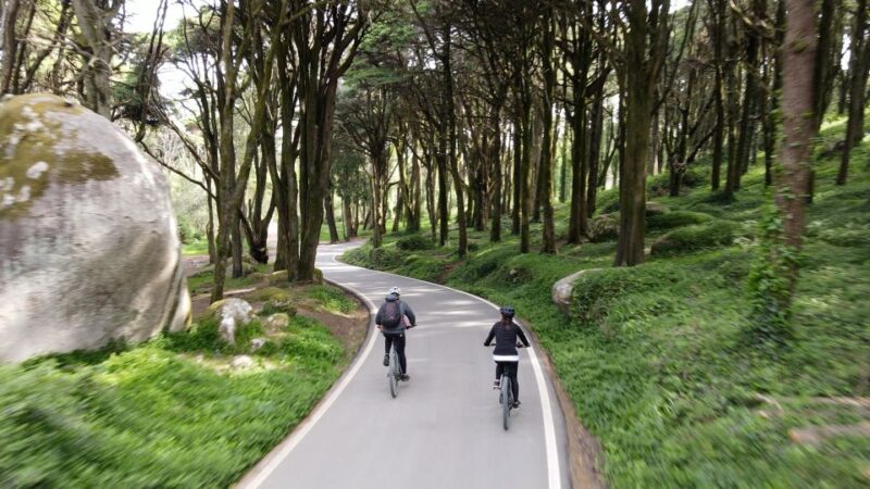 Lisbon: E-bike Trip from the Sintra Mountains to Cascais Sea - Comfortable and Easy E-bikes Make the Route Enjoyable