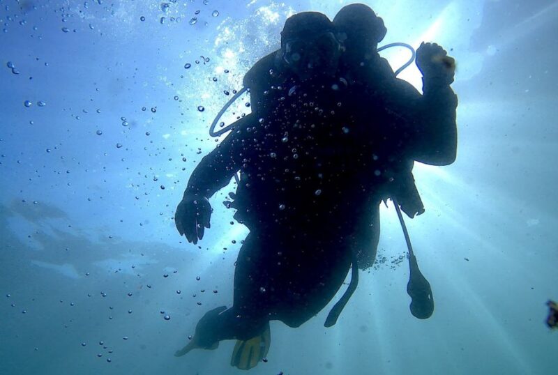 Lisbon: Eco-Friendly Beginner's Scuba Diving - Visiting Professor Luiz Saldanha Marine Park in Arrabida Natural Park