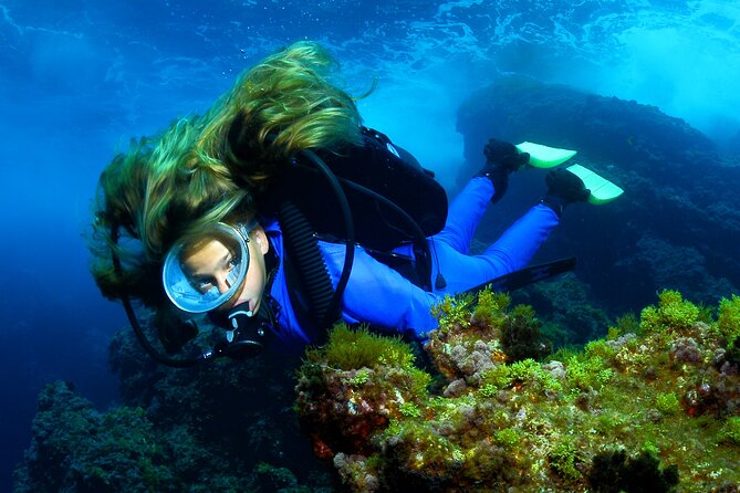 Lisbon Eco-Try Dive - Diving Baptism - Practical Considerations and Physical Requirements