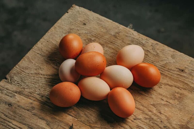 Lisbon: Egg Quality Workshop - Myths and Truths - Key Points