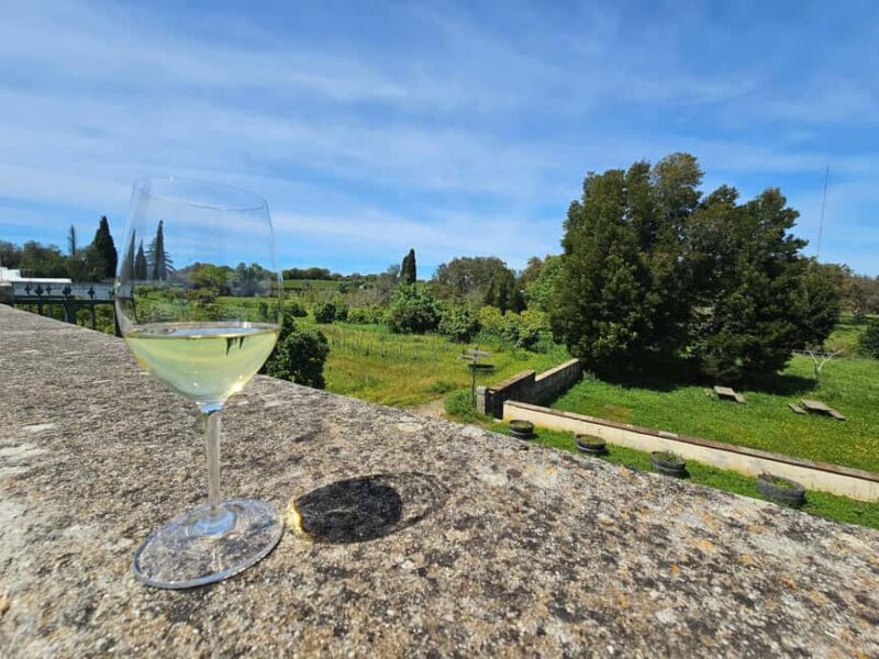 Lisbon: Évora (w/ Cathedral & Bones), Cartuxa & Cork Factory - Why This Tour Leaves a Lasting Impression