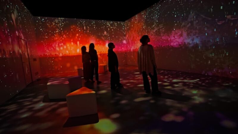 Lisbon: Experience the Queen of Fado at AH AMÁLIA - Cutting-Edge Technology Enhances the Storytelling