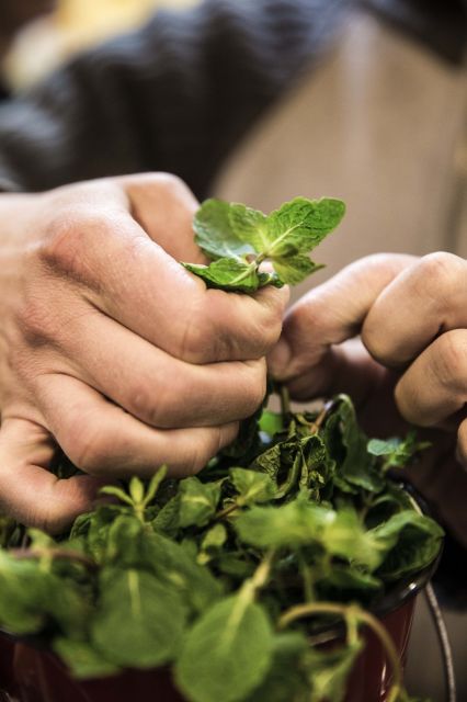 Lisbon: Food and Culture 3-Hour Walking Tour - Explore Lisbon’s Culinary Tapestry in Just Three Hours