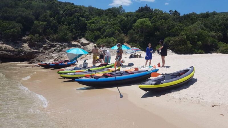 Lisbon: Full-Day Arrabida Kayak Tour with Picnic - Why This Tour Is a Great Choice for Active and Nature-Loving Travelers