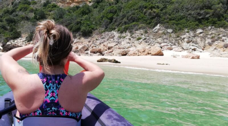 Lisbon: Full-Day Kayak Tour with Picnic and Transfer - What’s Included in the Kayaking Adventure?