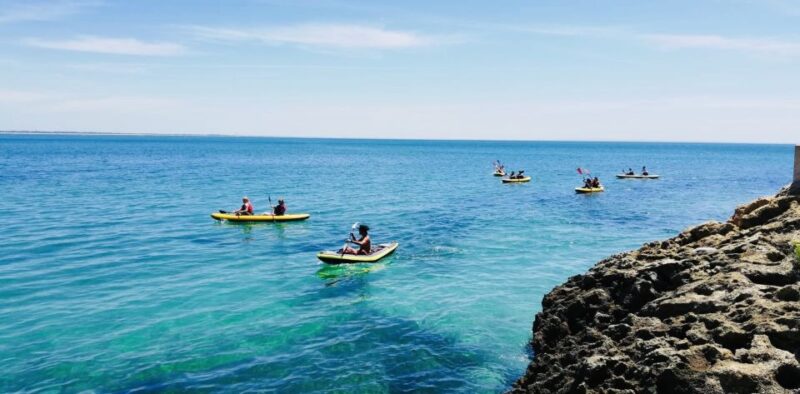 Lisbon: Full-Day Kayak Tour with Picnic and Transfer - Practical Details and Booking Flexibility