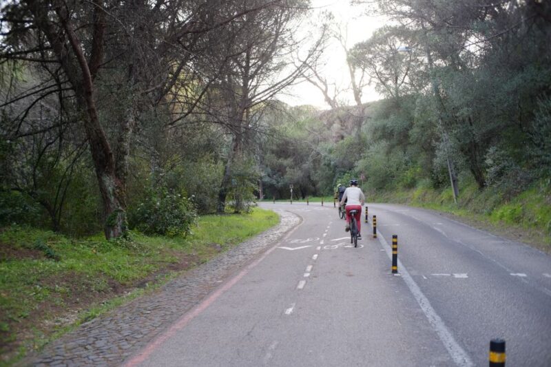 Lisbon: Guided Tour of Monsanto Park by Vintage Bike - Who Will Love This Tour