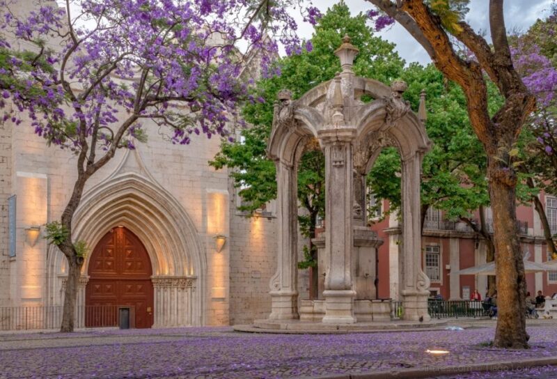 Lisbon: Half Day Complete City Highlights Tour by Tuk Tuk - Logistics and Practical Details of the Tour