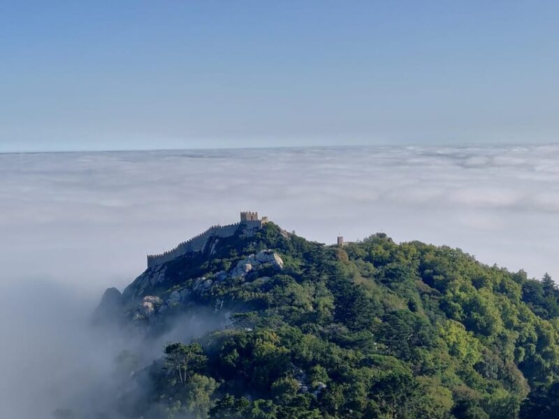 Lisbon: Half-Day Sintra Tour with Pena Palace and Regaleira - Exploring Sintra’s Famous Palaces from Lisbon