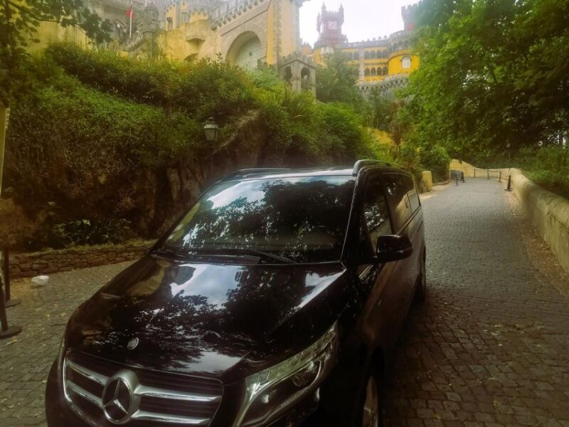 Lisbon: Half-Day Tailor-Made Private Tour with Your Guide - Who Will Enjoy This Tour?