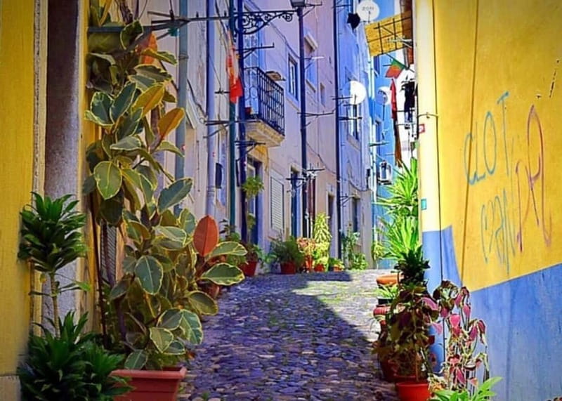 Lisbon Highlights Tuk Tuk Tour Historic & Scenic Guide - Key Points