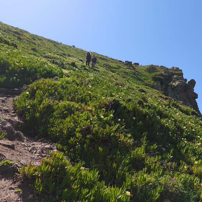 Lisbon: Hike on the Edge of Europe - Logistics: From Pickup to Drop-off