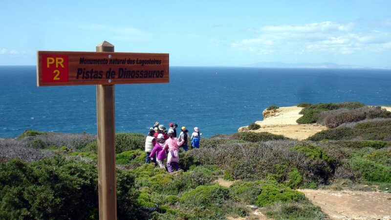 Lisbon: Hiking in Arrábida Natural Park - Who Would Enjoy This Hiking Tour in Arrábida?