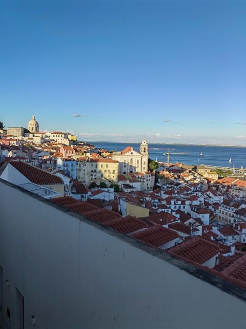 Lisbon: hop on hop off sightseeing Tuktuk tour - Considerations and Suitability