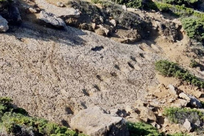 Lisbon - Jeep Tour Arrabida, Sesimbra & Dinossaur Footprints - Explore Portugal’s Coastal Gems in a 4X4 Jeep