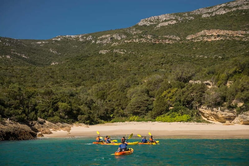 Lisbon: Kayak Tour Arrábida Natural Park, Setubal, Sesimbra - Comparing Similar Experiences