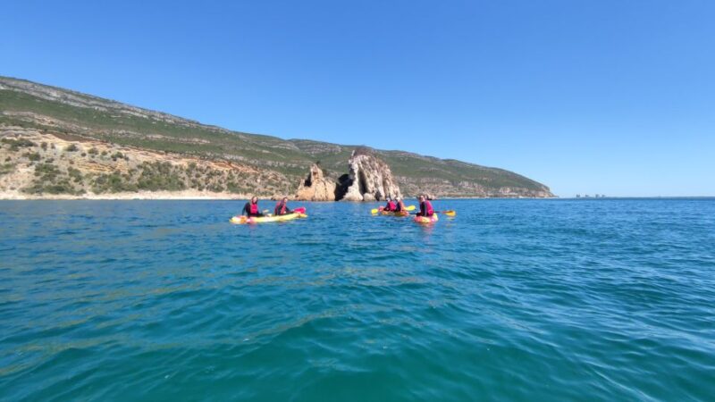 Lisbon: Kayaking and Snorkeling Adventure - Starting at Lisbon Zoo for a Convenient Meet-Up
