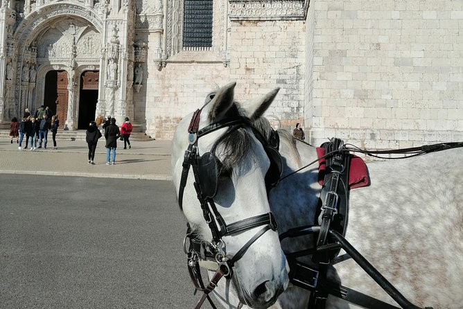 Lisbon Layover - Discovering the Belem Neighborhood and Its Landmarks