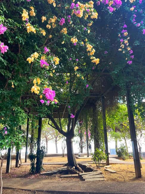 Lisbon: Layover Sketching or Watercolor Tour - Scenic Walk and Landmark Highlights