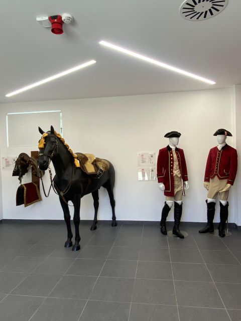 Lisbon: Morning of Equestrian Art with Lusitano Horses - Who Will Love This Equestrian Morning in Lisbon?