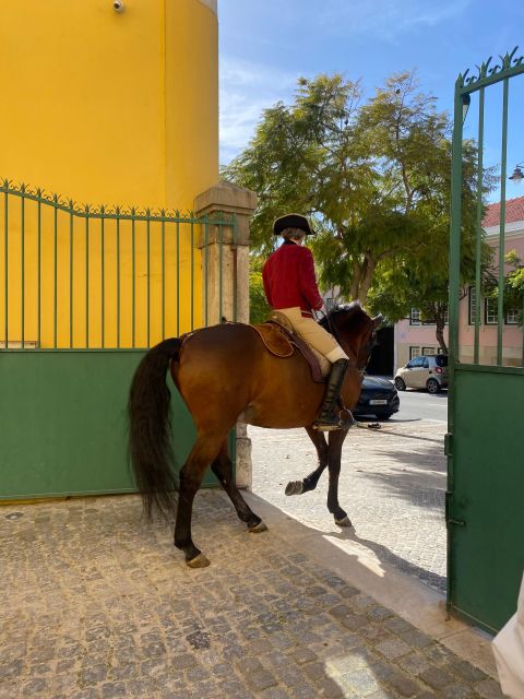 Lisbon: Morning of Equestrian Art with Lusitano Horses - Final Thoughts on the Lusitano Morning Experience
