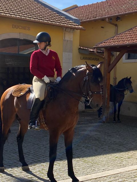 Lisbon: Morning of Equestrian Art with Lusitano Horses - Frequently Asked Questions