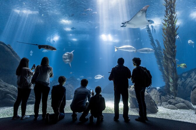 Lisbon Oceanario: Aquarium Entrance Ticket - Explore Lisbons Largest Aquarium with Ease