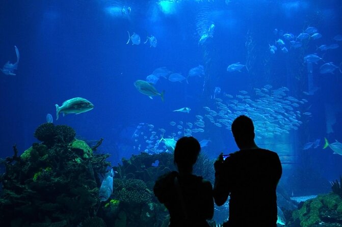 Lisbon Oceanario: Aquarium Entrance Ticket - Booking and Entry Process with Mobile Tickets