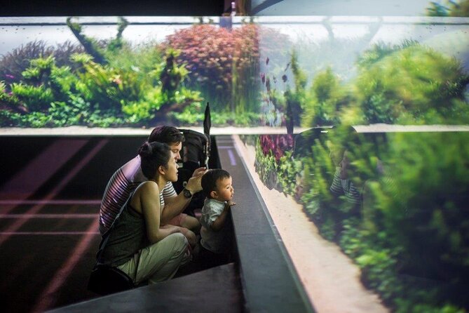 Lisbon Oceanario: Aquarium Entrance Ticket - Highlights of the Aquarium Exhibits