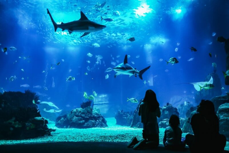 Lisbon: Oceanário de Lisboa Entrance Ticket - Why Choose This Tour