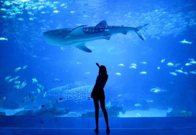 Lisbon: Oceanarium + Cable Car Ticket - Booking Flexibility and Cancellation Policy