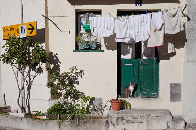 Lisbon Off The Beaten Track and Main Sights Private Walking Tour - Explore the Castle of St. George’s Residential Areas and Recolhimento Garden