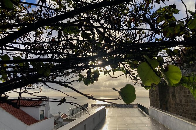 Lisbon Off The Beaten Track and Main Sights Private Walking Tour - Stand in Awe at Lisbon Cathedral