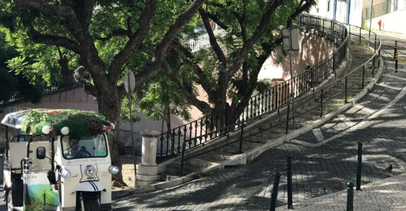 Lisbon: Old City Standard Private Guided Tour by Tuk-Tuk - Exploring Iconic Landmarks: Lisbon’s Cathedral and the Pantheon